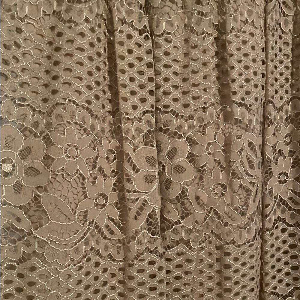 Elegant Lace Skirt